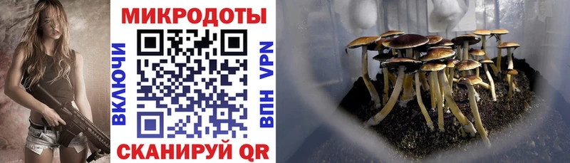 Галлюциногенные грибы GOLDEN TEACHER  Афипский 